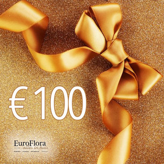 Geschenkbon EuroFlora € 100