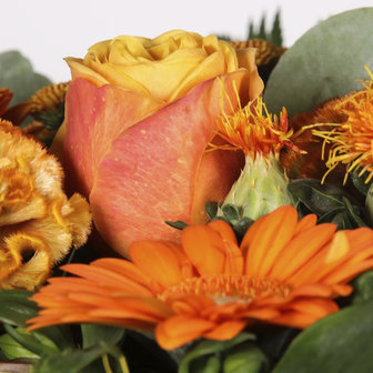 EuroFlora Boeket | Sweet Orange | vanaf € 30
