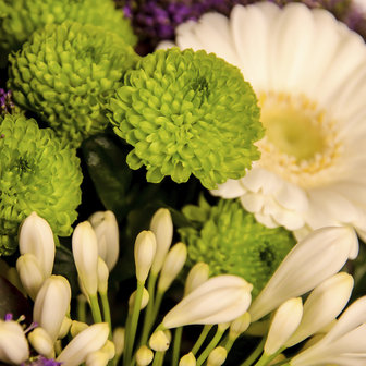 EuroFlora Boeket | Purple Rain| vanaf € 30